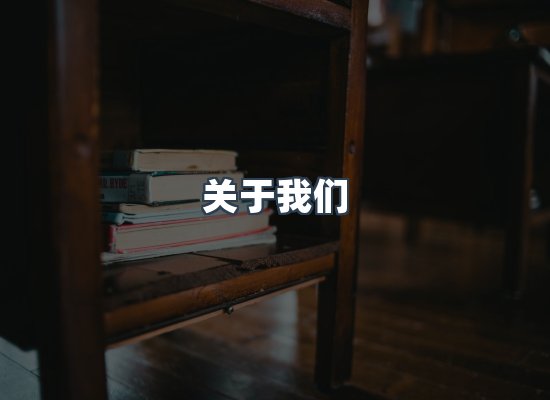专业团队